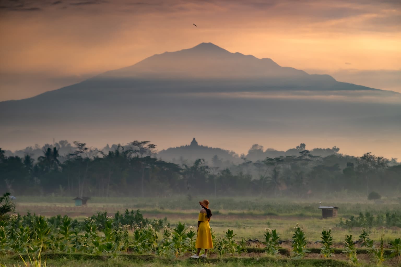 Pemandangan indah desa Indonesia saat matahari terbit